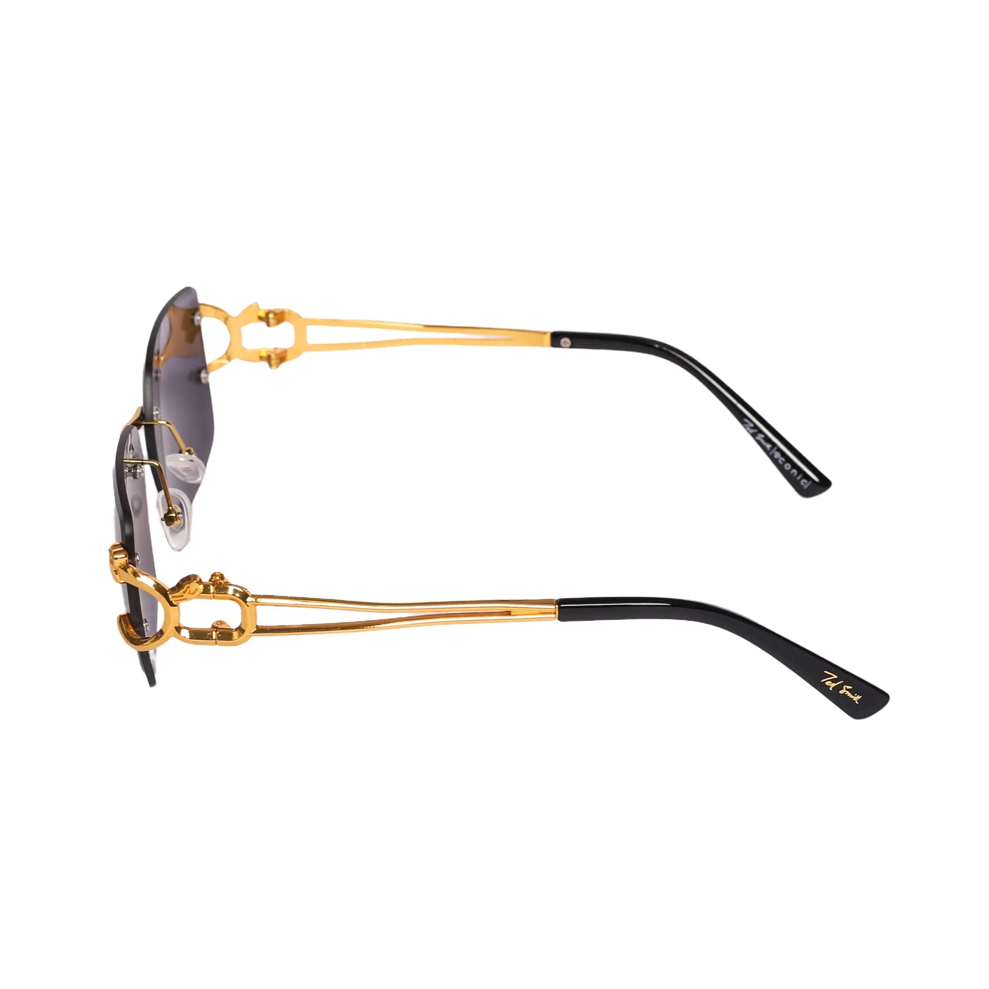 Ted Smith TS-AS-0027 Sunglasses - Premium Sunglasses from Tad Smith - Just Rs. 2890! Shop now at Laxmi Opticians