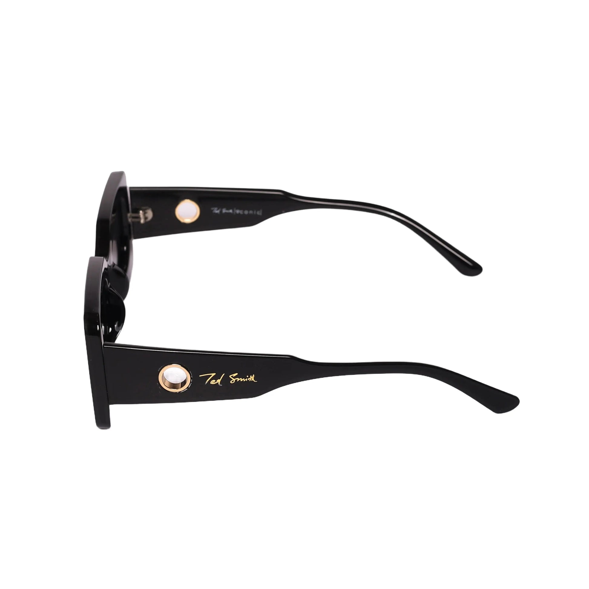 Ted Smith TS-AS-0008 Sunglasses - Premium Sunglasses from Tad Smith - Just Rs. 2890! Shop now at Laxmi Opticians