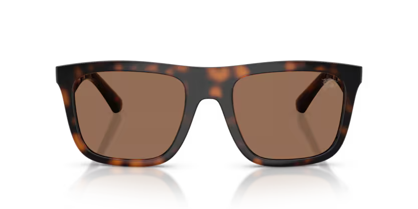 BURBERRY BE 4458 300273 SUNGLASS - HAVANA / 55 - Sunglasses
