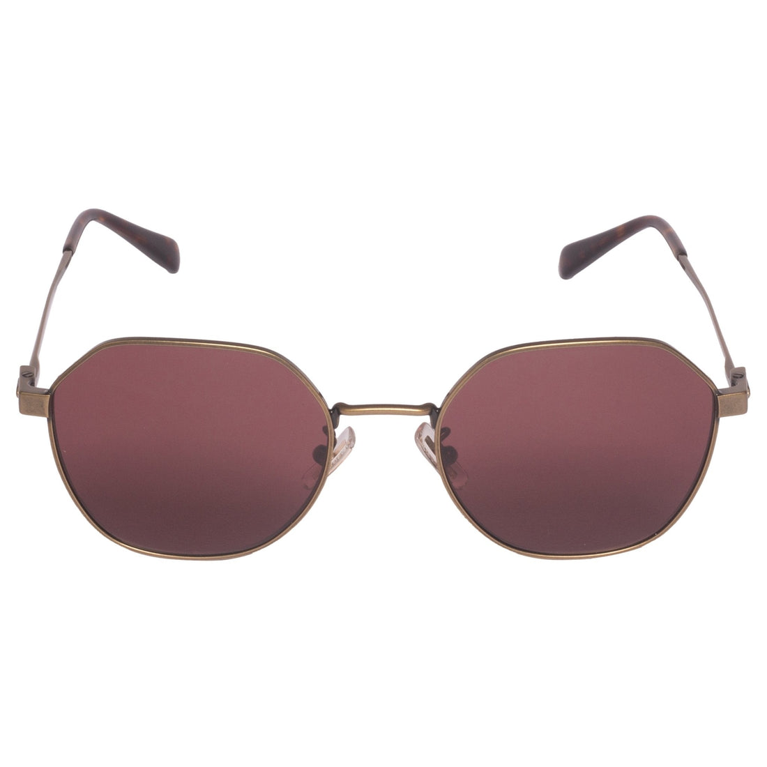 Coach-HC 7155-54-933375 Sunglasses - Premium Sunglasses from Coach - Just Rs. 11790! Shop now at Laxmi Opticians