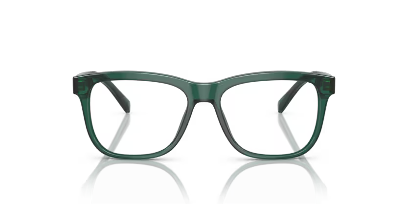 DOLCE GABBANA DX3356 3008 FRAME - Transparent green / 49 - Eyeglasses