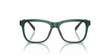 DOLCE GABBANA DX3356 3008 FRAME - Transparent green / 49 - Eyeglasses
