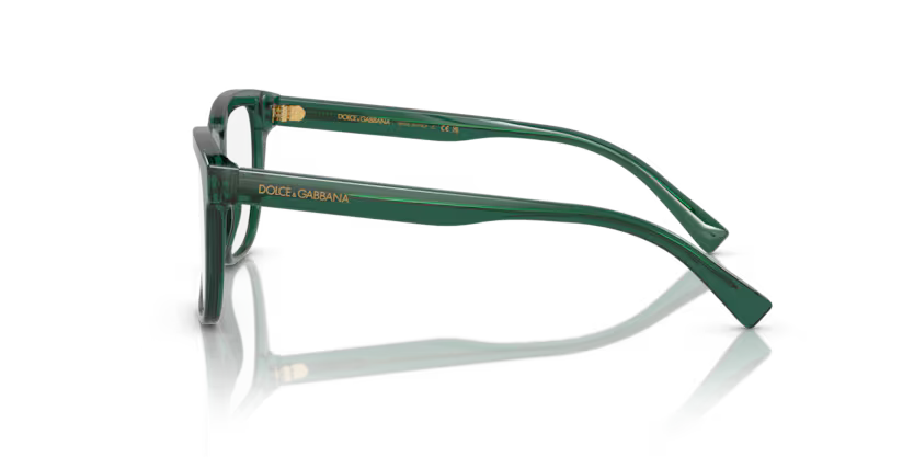 DOLCE GABBANA DX3356 3008 FRAME - Transparent green / 49 - Eyeglasses