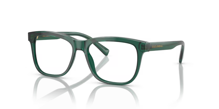 DOLCE GABBANA DX3356 3008 FRAME - Transparent green / 49 - Eyeglasses