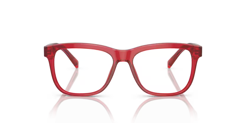 DOLCE GABBANA DX3356 3409 FRAME - Transparent red / 49 - Eyeglasses