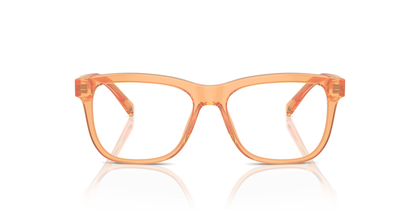 DOLCE GABBANA DX3356 3442 FRAME - Orange / 49 - Eyeglasses