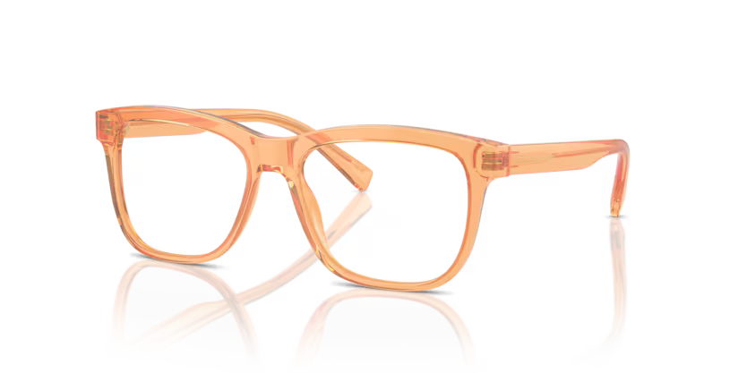 DOLCE GABBANA DX3356 3442 FRAME - Orange / 49 - Eyeglasses