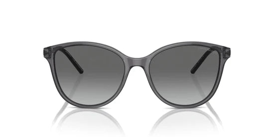 EMPORIO ARMANI EA 4220 6106/11 SUNGLASS - 54 / Gray - Sunglasses