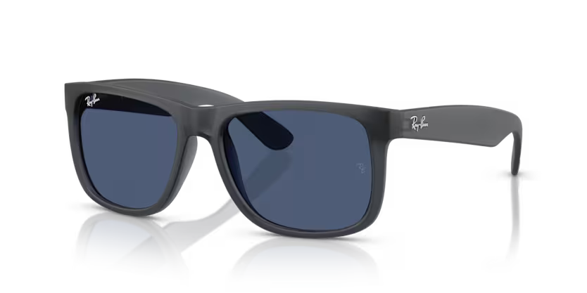 RAYBAN RB 4165 687380 SUNGLASS - 54 / Gray - Sunglasses