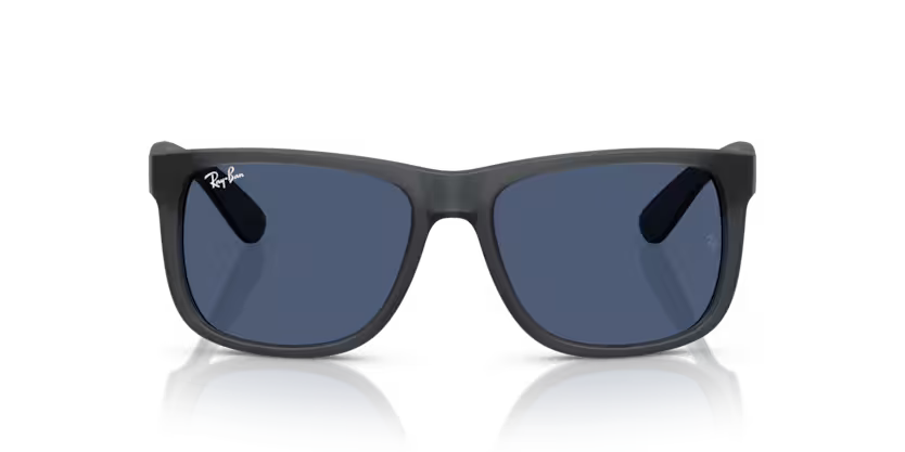 RAYBAN RB 4165 687380 SUNGLASS - 54 / Gray - Sunglasses