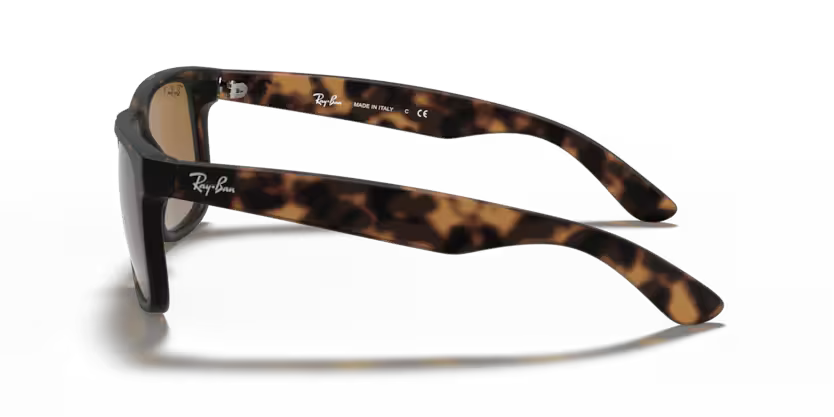 RAYBAN RB 4165 865/T5 SUNGLASS - 54 / Animal - Sunglasses