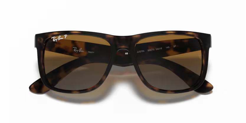 RAYBAN RB 4165 865/T5 SUNGLASS - 54 / Animal - Sunglasses