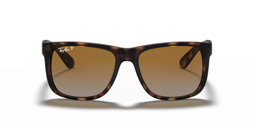 RAYBAN RB 4165 865/T5 SUNGLASS - 54 / Animal - Sunglasses