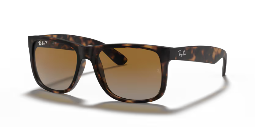 RAYBAN RB 4165 865/T5 SUNGLASS - 54 / Animal - Sunglasses