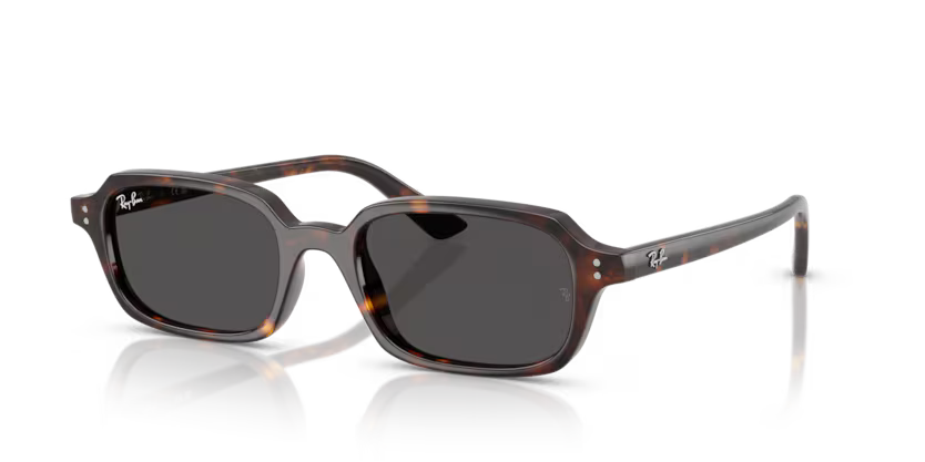RAYBAN RB 4455 1359/87 SUNGLASS - 52 / Animal - Sunglasses