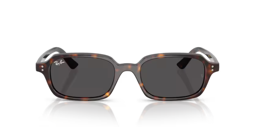 RAYBAN RB 4455 1359/87 SUNGLASS - 52 / Animal - Sunglasses