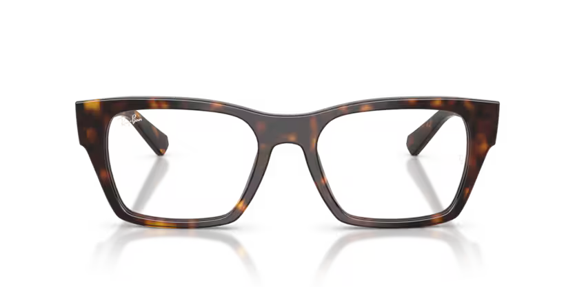 RAYBAN RB 5448 2012 FRAME - 53 / Animal - Eyeglasses