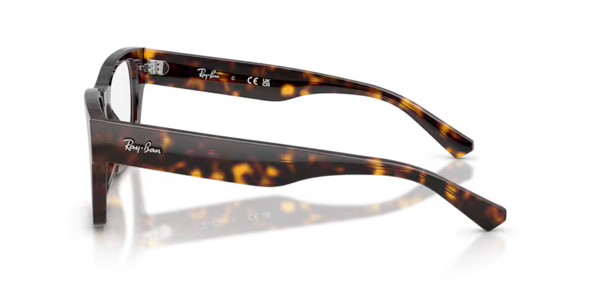 RAYBAN RB 5448 2012 FRAME - 53 / Animal - Eyeglasses