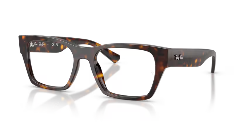 RAYBAN RB 5448 2012 FRAME - 53 / Animal - Eyeglasses