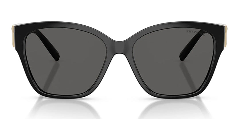 TIFFANY & CO. TF4254U 8001S4 SUNGLASS - Black / 56 - Sunglasses