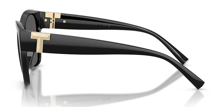 TIFFANY & CO. TF4254U 8001S4 SUNGLASS - Black / 56 - Sunglasses